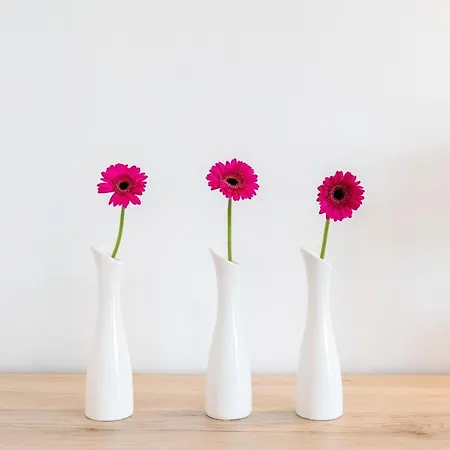 Whg_ _hafenparadies_ P6a7 Optional